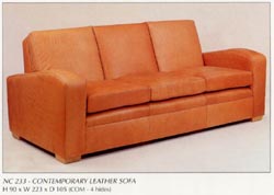 Contemporary Leather Sofa