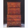 Burr Walnut Chest on Chest