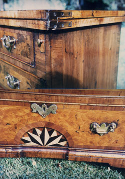Burr Walnut Bachelors Chest